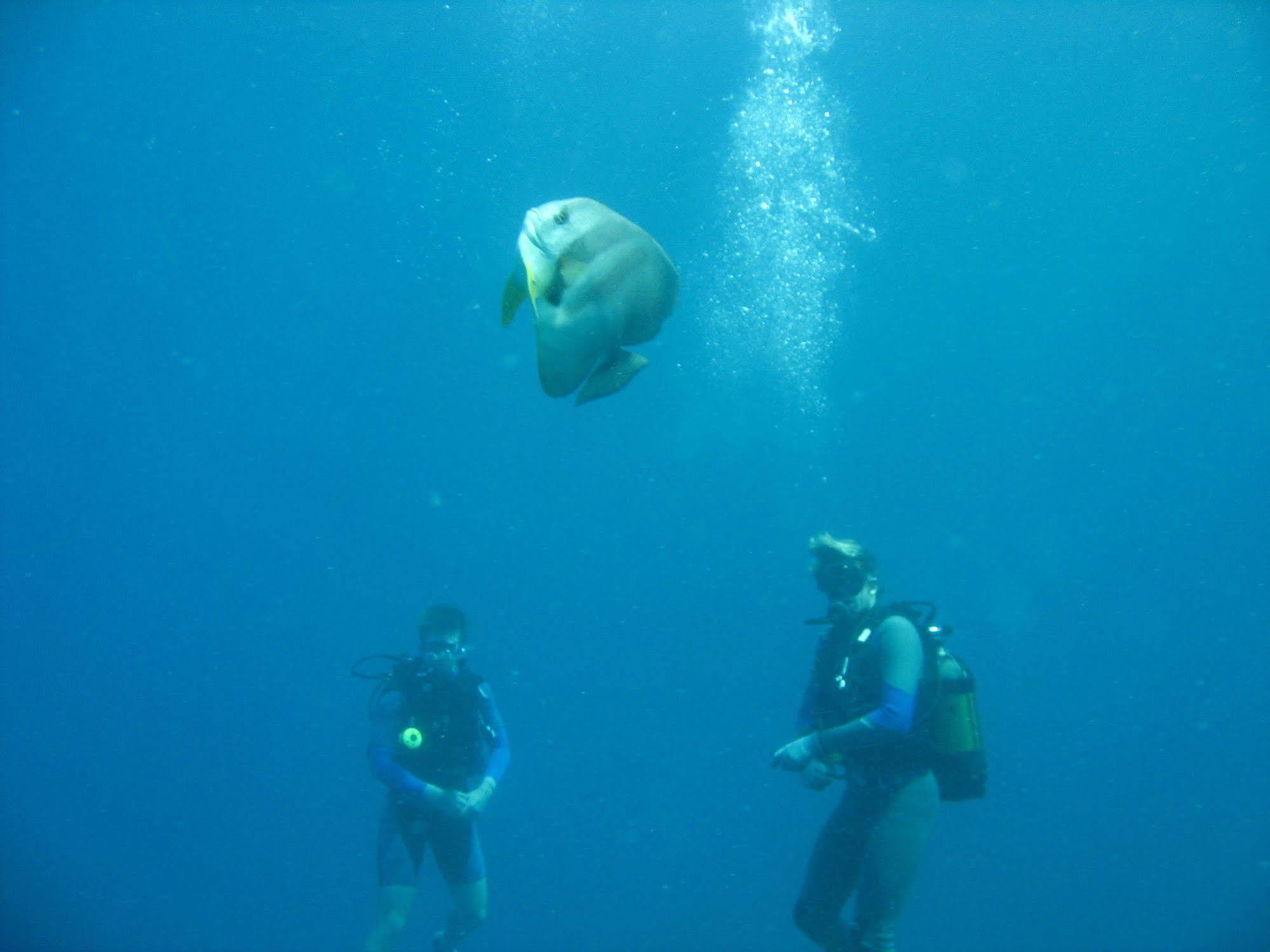 Dugong Beach Lodge Vilanculos Luaran gambar